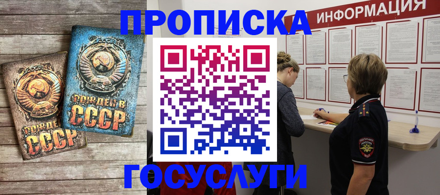 временная регистрация поиск в Майкопе